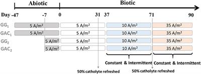 Granular Carbon-Based Electrodes as Cathodes in Methane-Producing Bioelectrochemical Systems